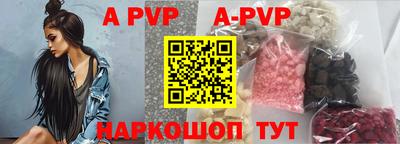 стафф Славгород