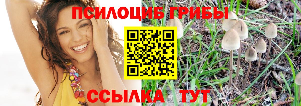Улан-Удэ  Галлюциногенные грибы Cubensis  наркошоп  Вход с VPN  Псилоцибиновые грибы прущие грибы 