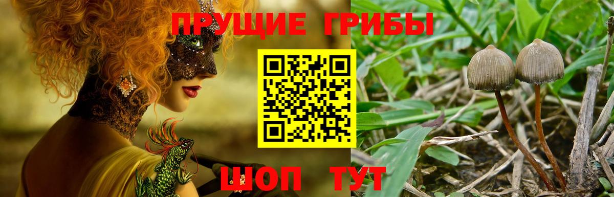 Галлюциногенные грибы мицелий Улан-Удэ